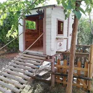 Azienda Agrituristica Le Betulle Séjour à la ferme Riotorto